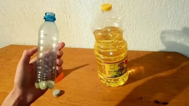 Jak zrobić olej czosnkowy dla gołębi, aby poprawić ich zdrowie